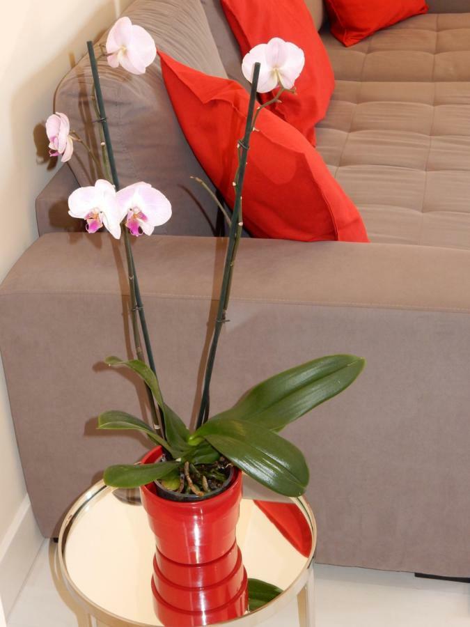 Beach & Sea Apt, Fast Wifi, Airco, Private Parking And Pool Portimao Luaran gambar